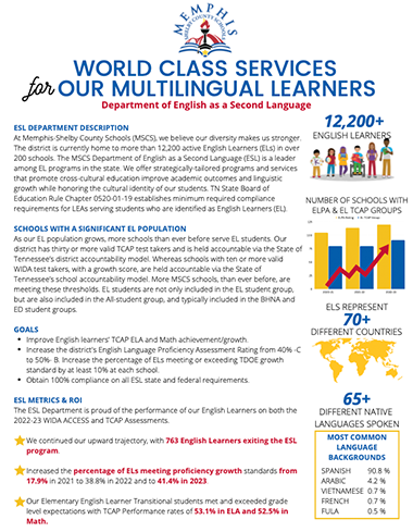 MSCS Foundational Literacy Skills Plan